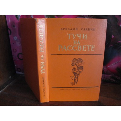Аркадий Сахнин, Тучи на рассвете