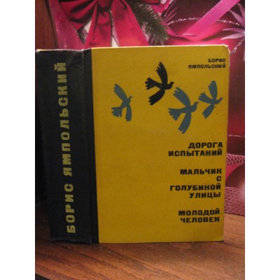 Борис Ямпольский, Дорога испытаний, Мальчик с голубиной улицы, 1964г.