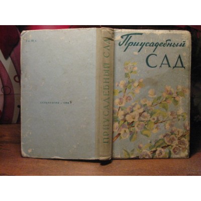 Приусадебный сад, 1958г.