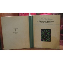 Гриби, ягідники і лікарські рослини лісів України