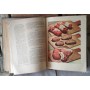 Книга о вкусной и здоровой пищи, 1964г